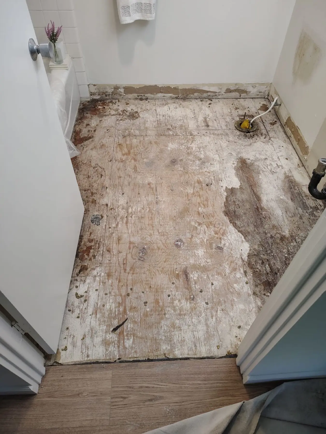 A bathroom exactly as it was found on a walkthrough